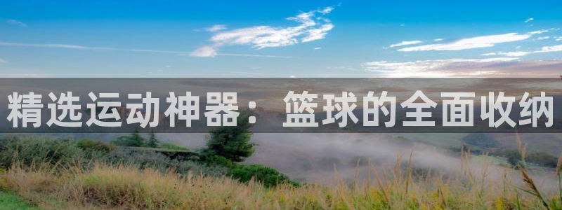 意昂4娱乐下载：精选运动神器：篮球的全面收纳