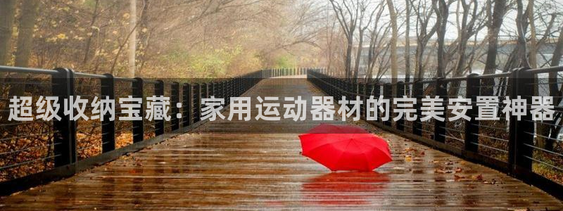 意昂体育4开户：超级收纳宝藏：家用运动器材的完美安置