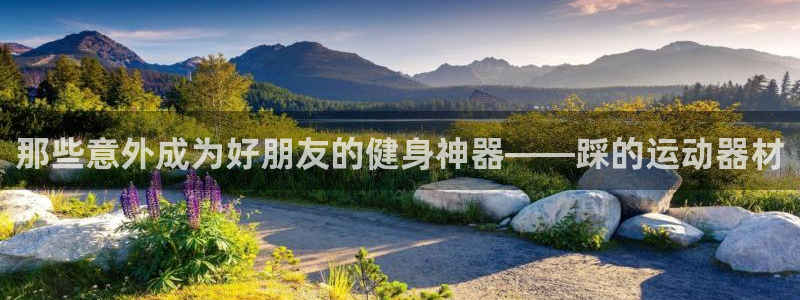 意昂4娱乐网站：那些意外成为好朋友的健身神器——踩的