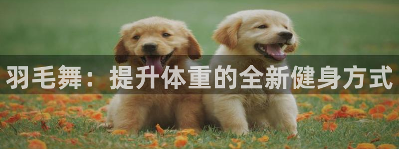 意昂4娱乐：羽毛舞：提升体重的全新健身方式