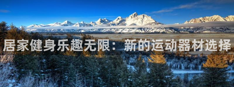 意昂4集团logo：居家健身乐趣无限：新的运动器材选