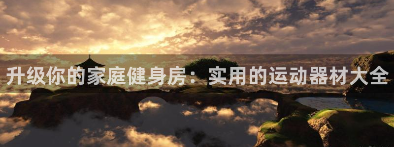 意昂体育4：升级你的家庭健身房：实用的运动器材大全