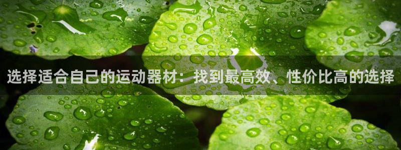 意昂体育4招商：选择适合自己的运动器材：找到最高效、性价比高