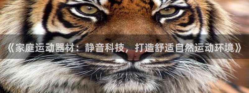 意昂体育4平台是正规平台吗知乎：《家庭运动器材：静音