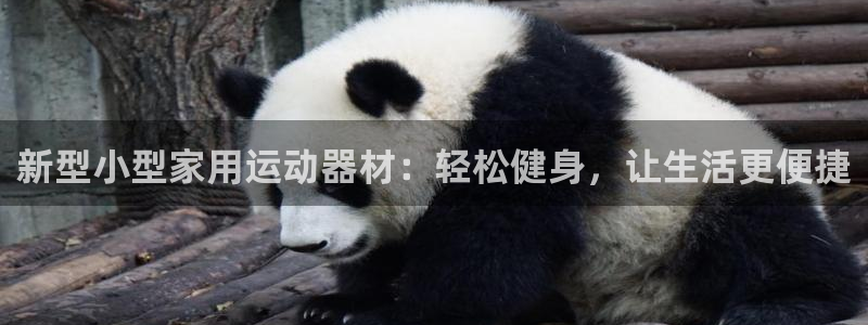 意昂体育4开户：新型小型家用运动器材：轻松健身，让生活更便捷