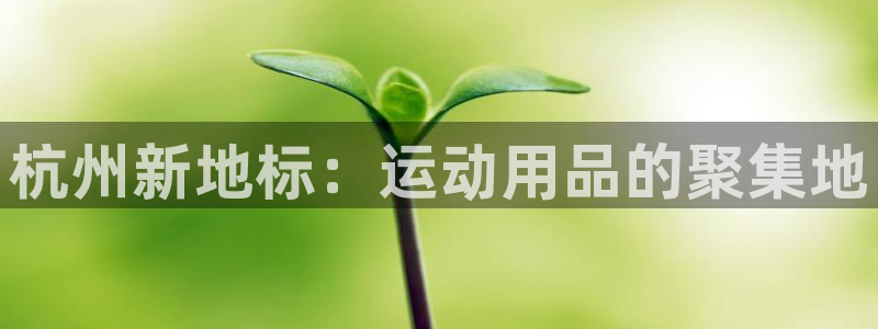 意昂体育4招商电话是多少：杭州新地标：运动用品的聚集地