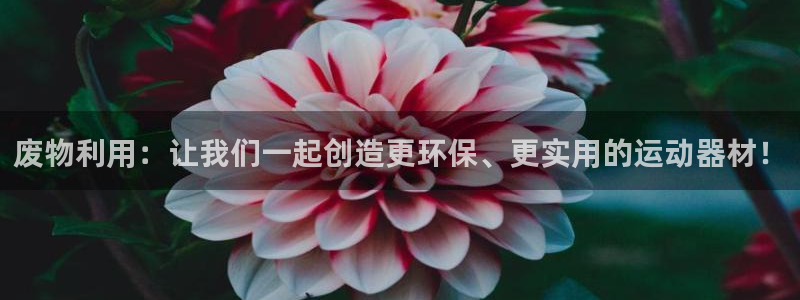 意昂体育4招商电话地址是多少：废物利用：让我们一起创造更环保