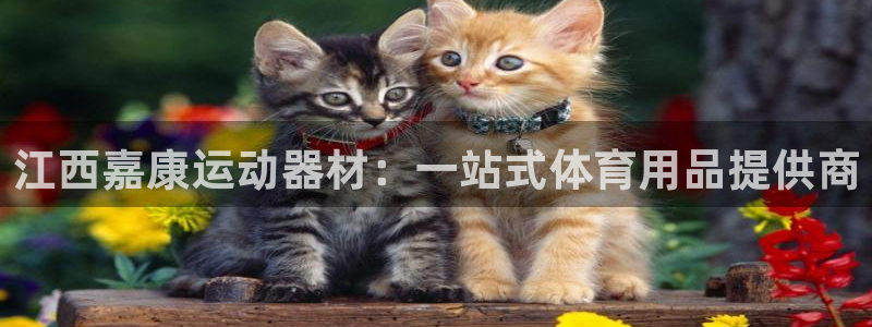 意昂体育4招商电话：江西嘉康运动器材：一站式体育用品提供商