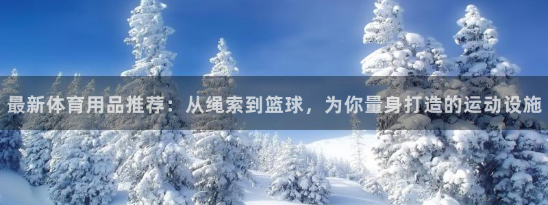 意昂体育4官方客服电话：最新体育用品推荐：从绳索到篮球，为你