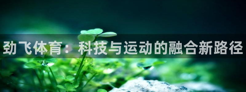 意昂4官网：劲飞体育：科技与运动的融合新路径