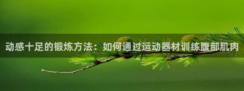 意昂4开户：动感十足的锻炼方法：如何通过运动器材训练腹部肌肉