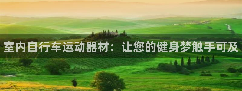 意昂4娱乐首页官网下载：室内自行车运动器材：让您的健身梦触手