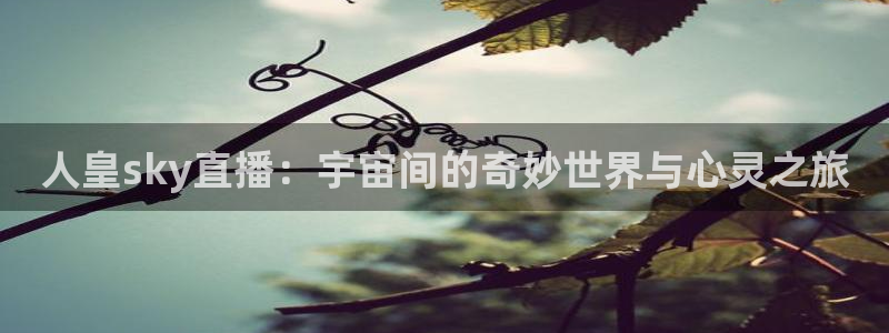 说球帝app直播在线观看高清免费：人皇sky直播：宇宙间的奇妙世界与心灵之旅