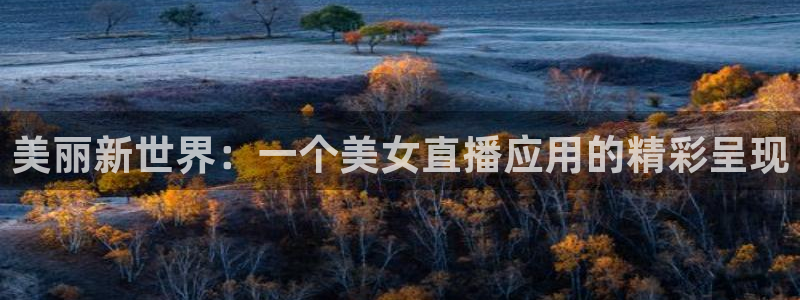 说球帝在线观看nba免费直播：美丽新世界：一个美女直播应用的精彩呈现