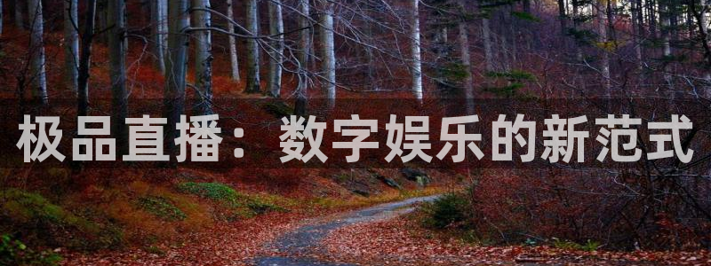 说球帝nba在线直播：极品直播：数字娱乐的新范式