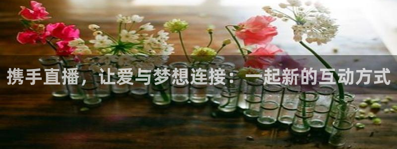nba在线直播说球帝：携手直播，让爱与梦想连接：一起新的互动方式