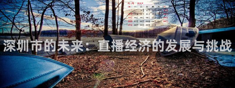 说球帝快直播：深圳市的未来：直播经济的发展与挑战